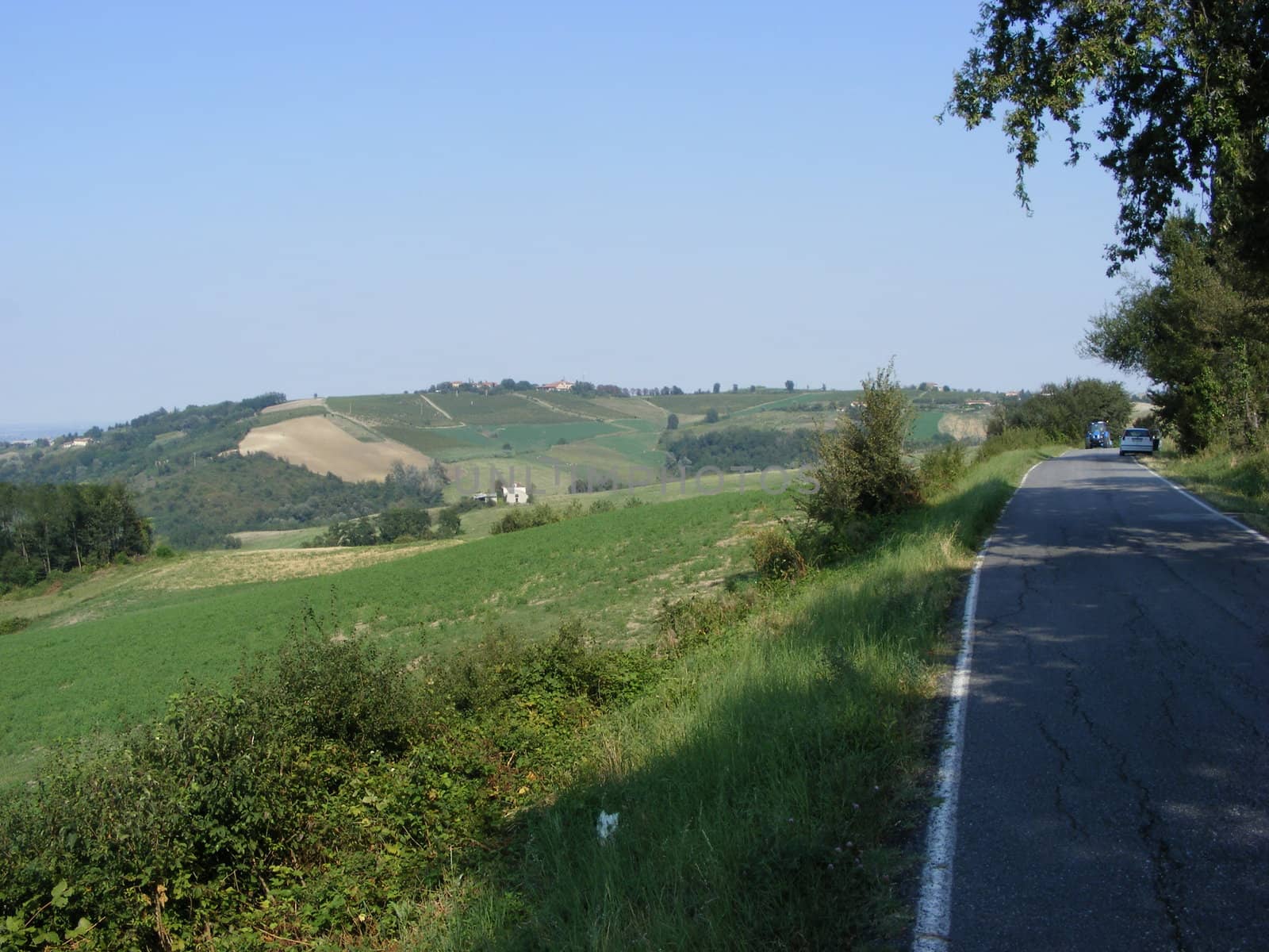 Landscape of hills and fields