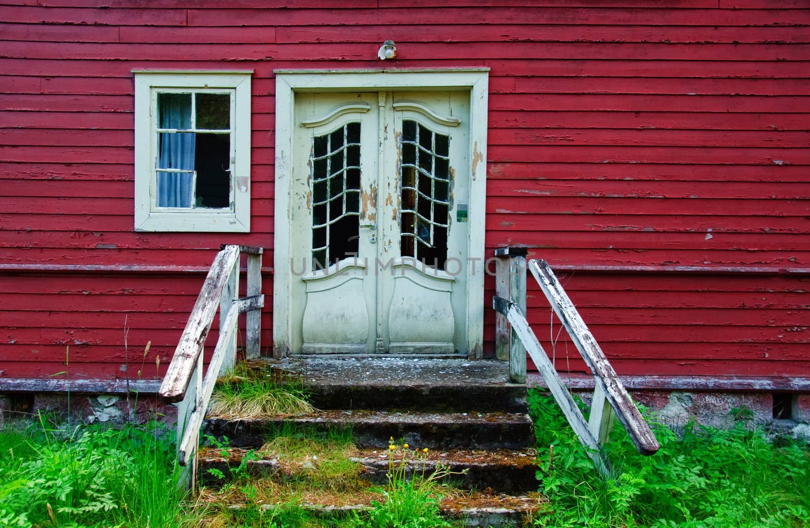 The entrance of a abandoned and derelict house.  The stairs is overgrown by weeds