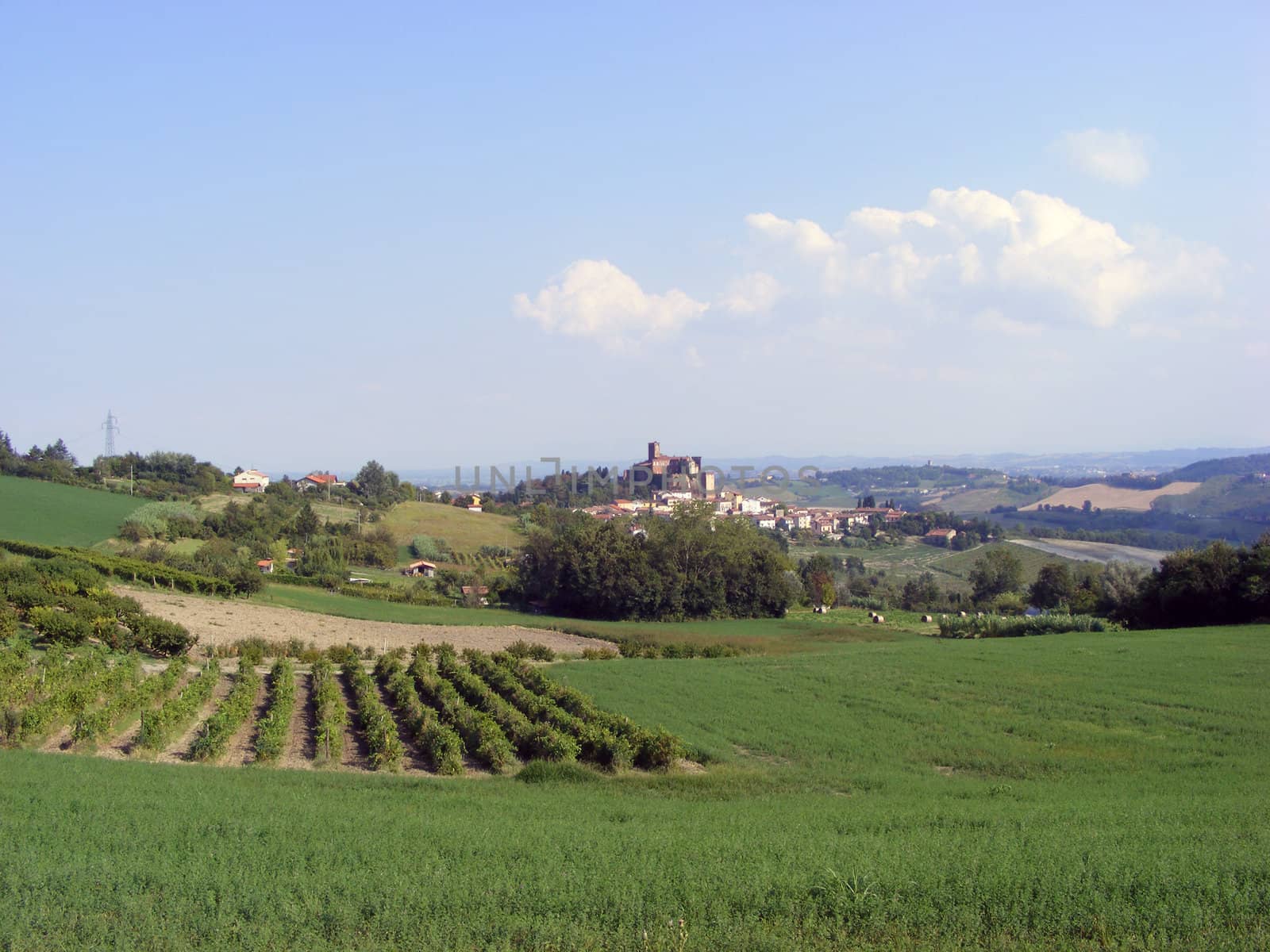 Landscape of hills and fields