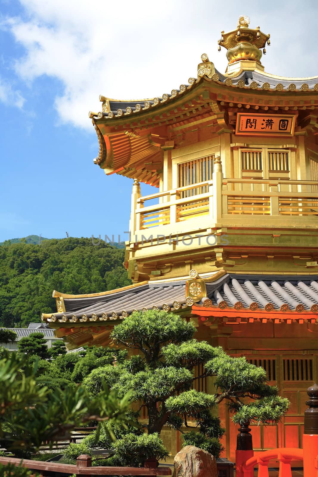 Gold pavilion in Chi lin Nunnery, Hong Kong