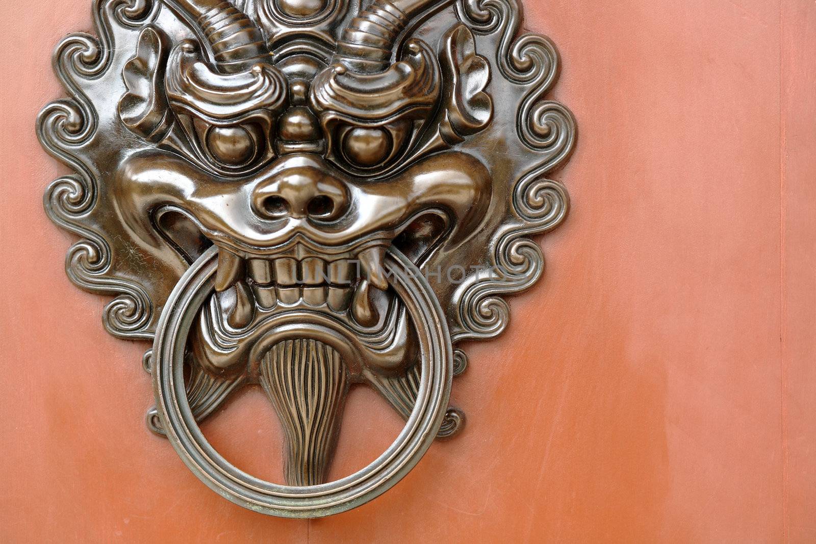 lion door lock