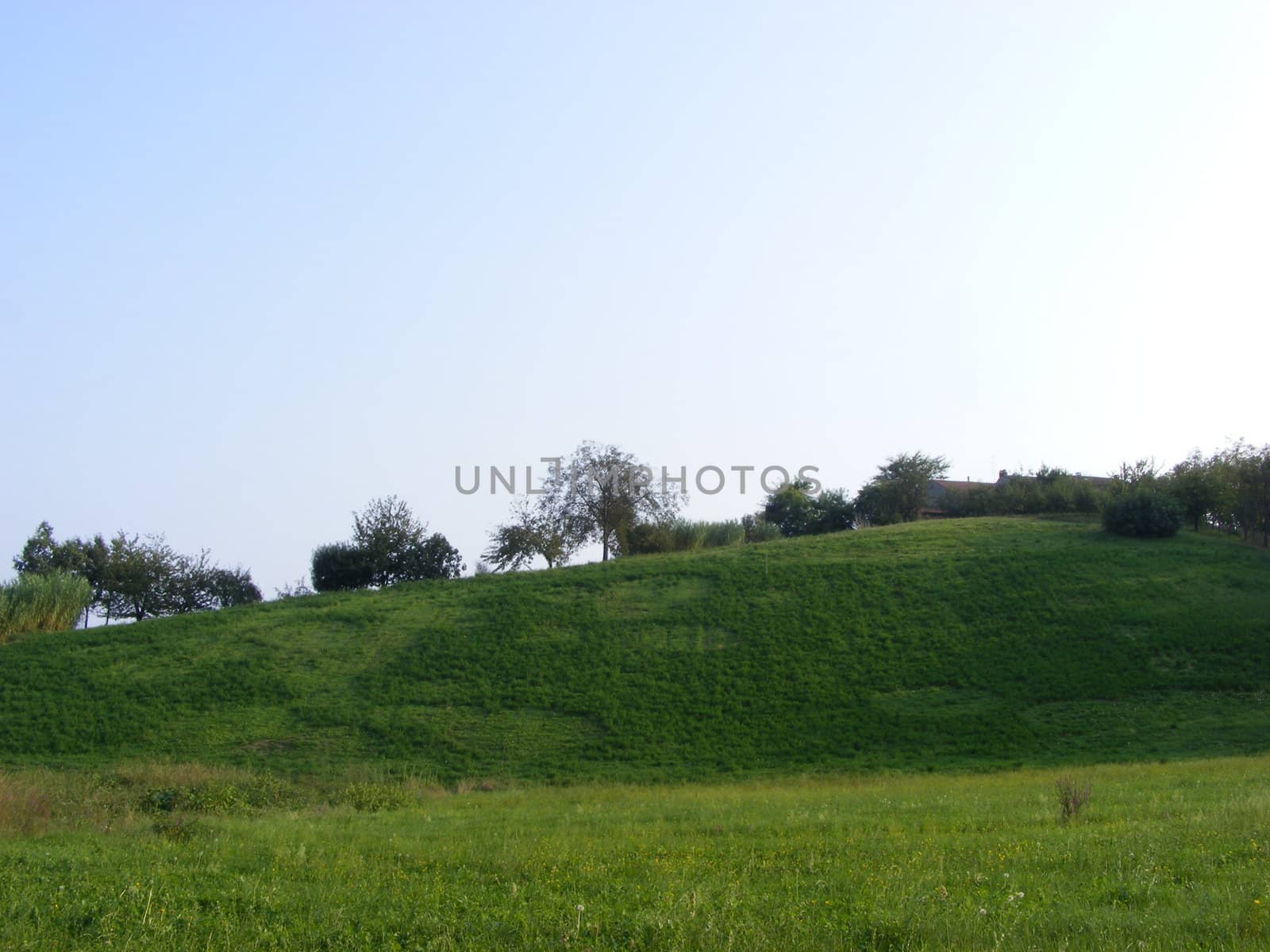 Landscape of hills and fields