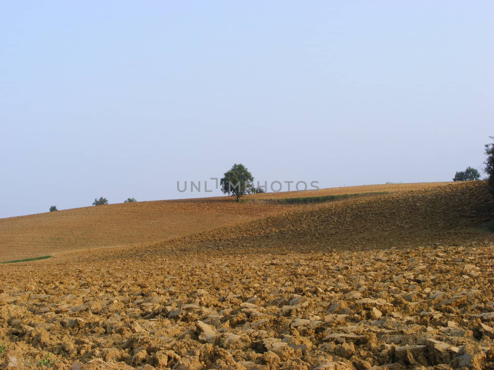 Landscape of hills and fields