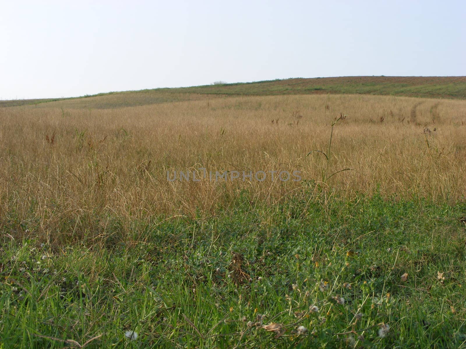 Landscape of hills and fields