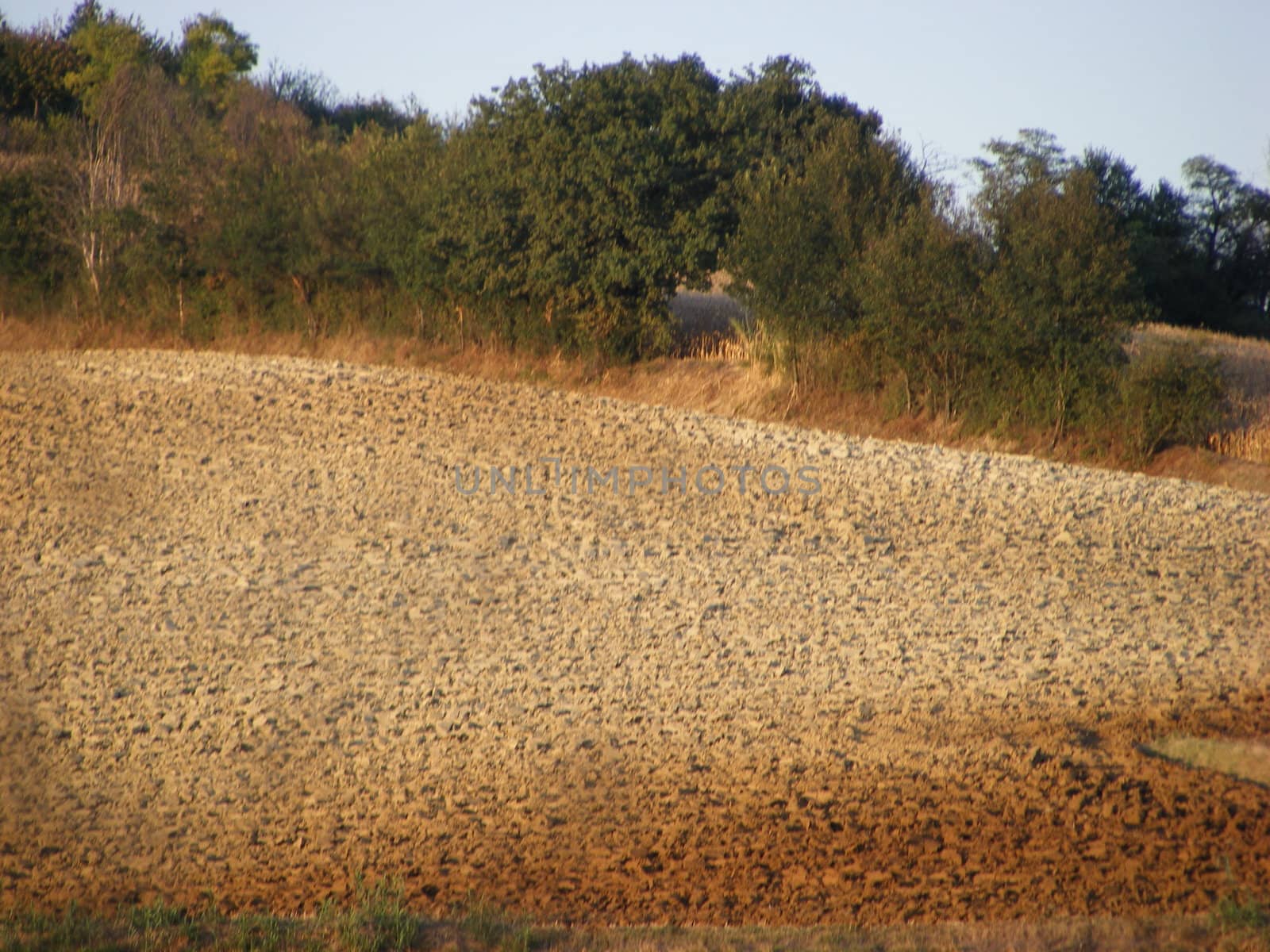 Landscape of Hills and trees 