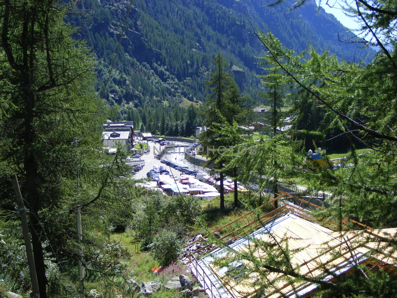 A view of Alps