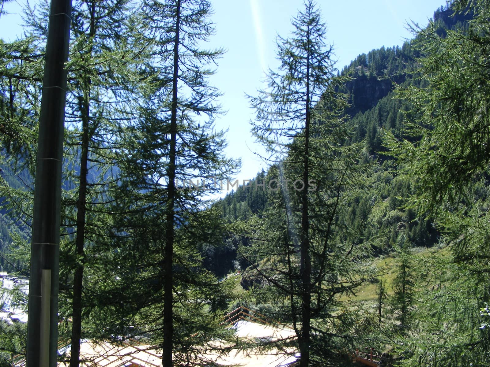 A view of Alps