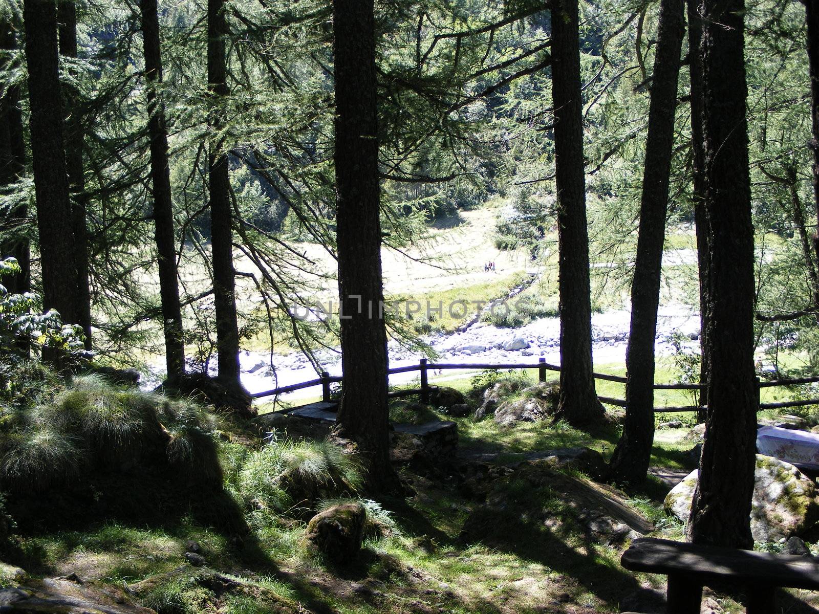 A view of Alps