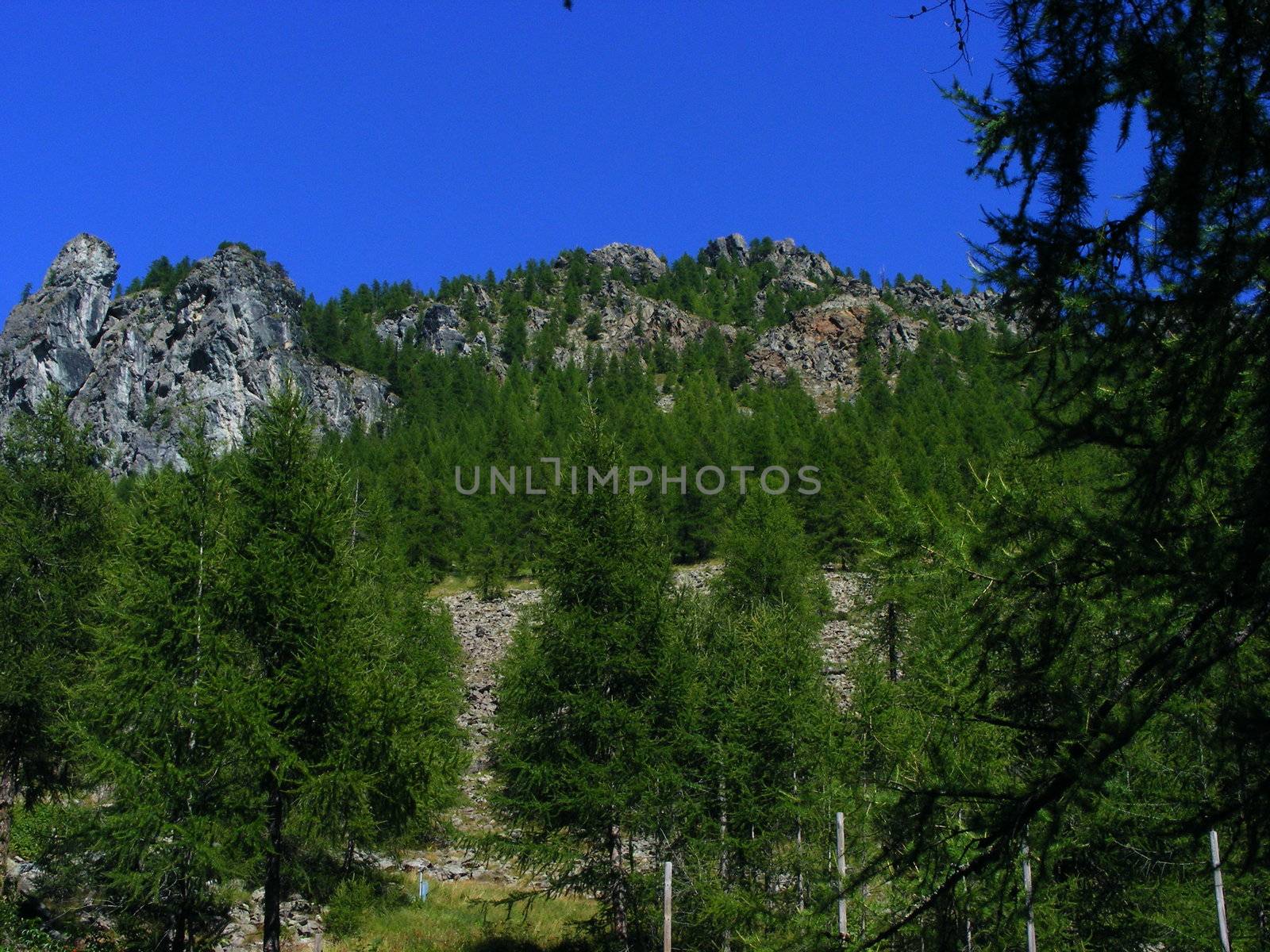 A view of Alps