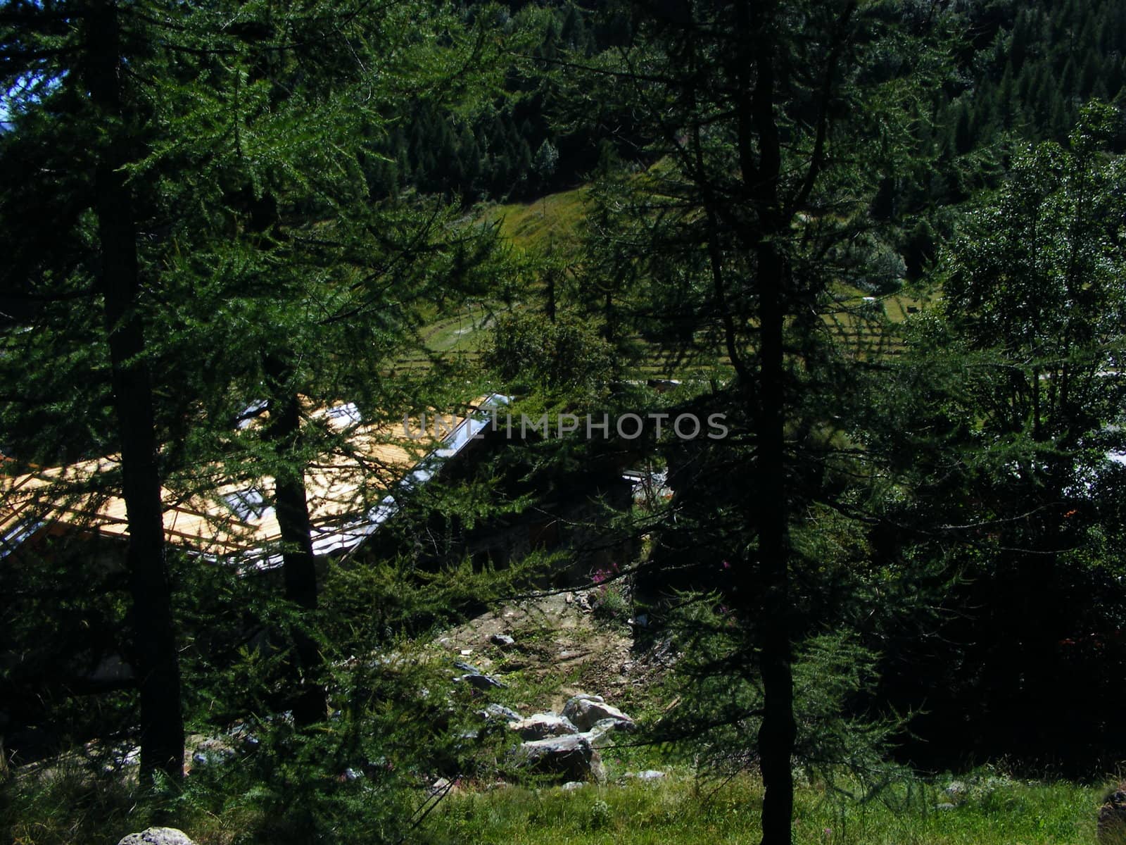 View of mountain landscape, Alps