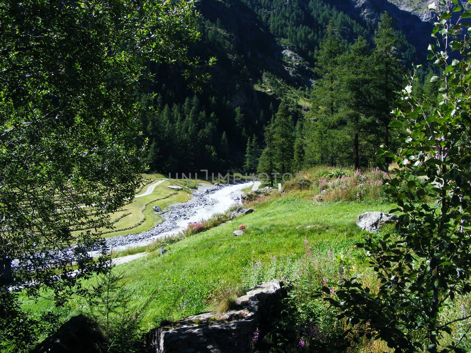 View of mountain landscape, Alps