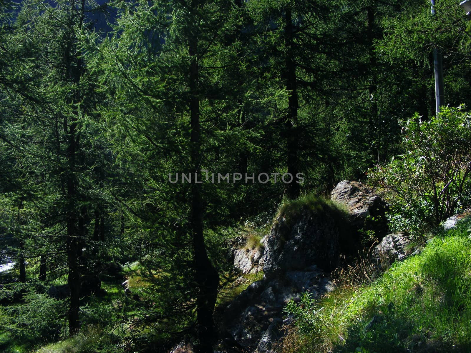 Landscape of mountains