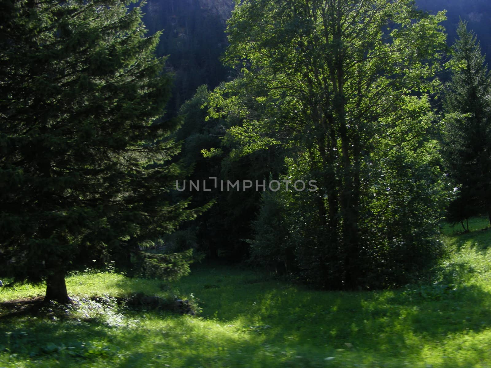 Landscape of mountains