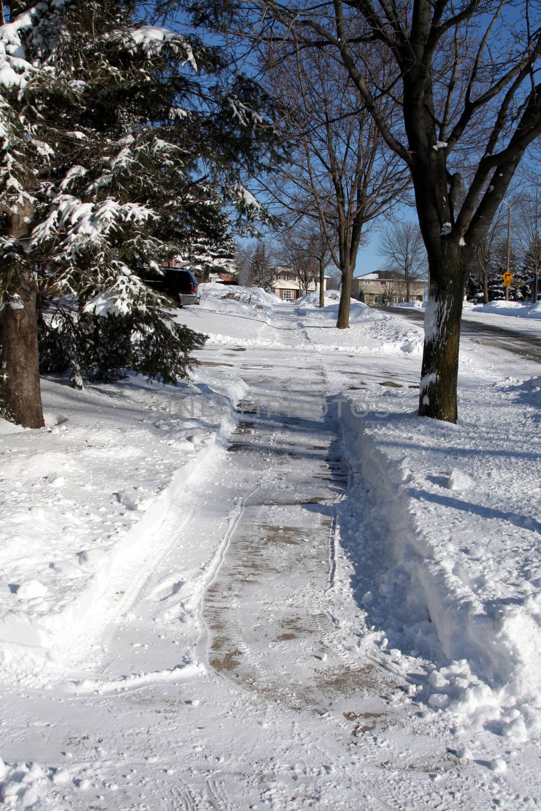 A freshly shoveled sidewalk after a winter snow fall.