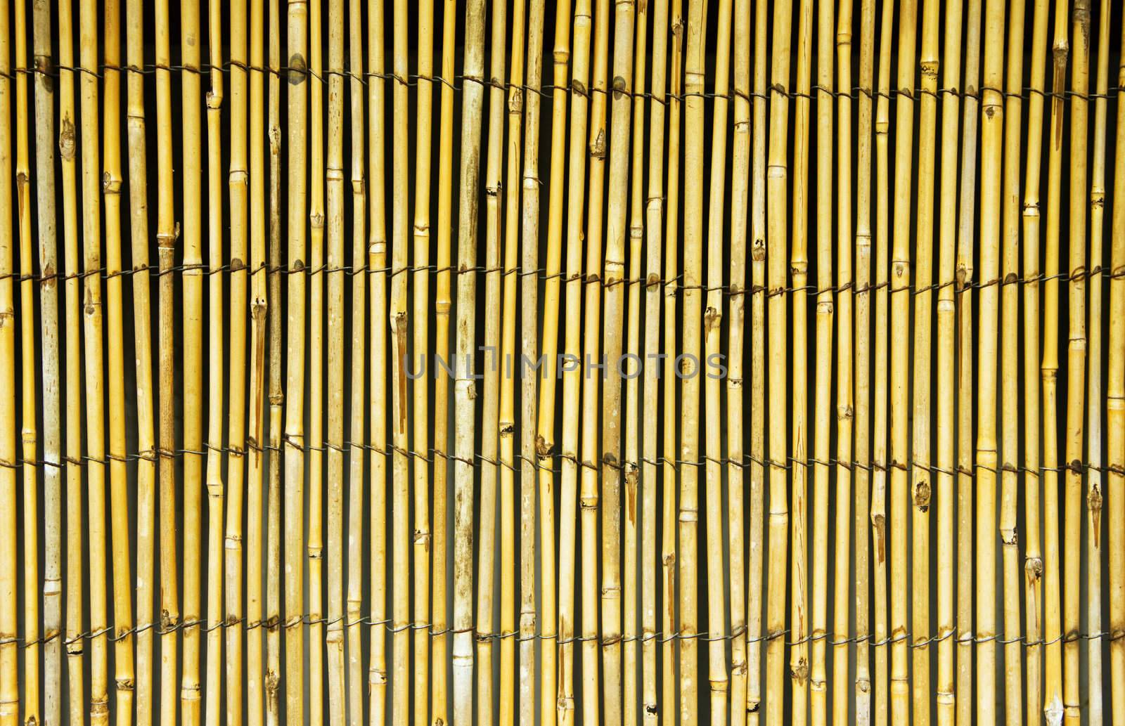 A bamboo fence background