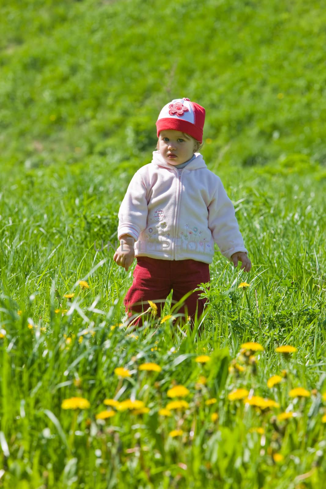 child on the green meadow by agg
