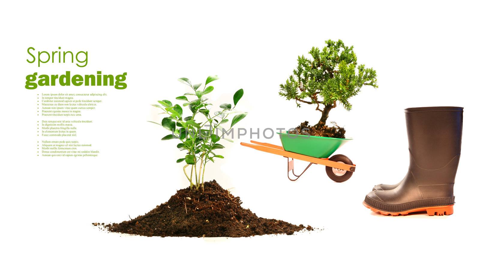 Variety of objects for spring planting on white background
