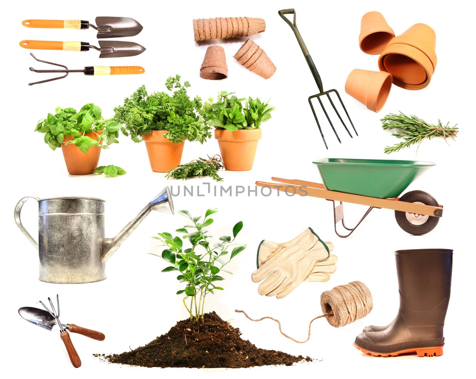 Variety of objects for spring planting on white background