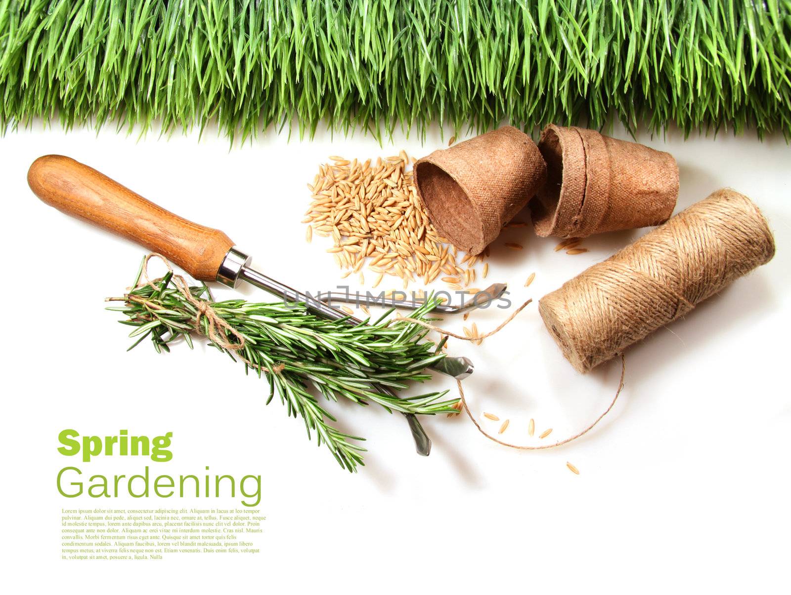 Grass, seeds, cord and peat pots for spring on white