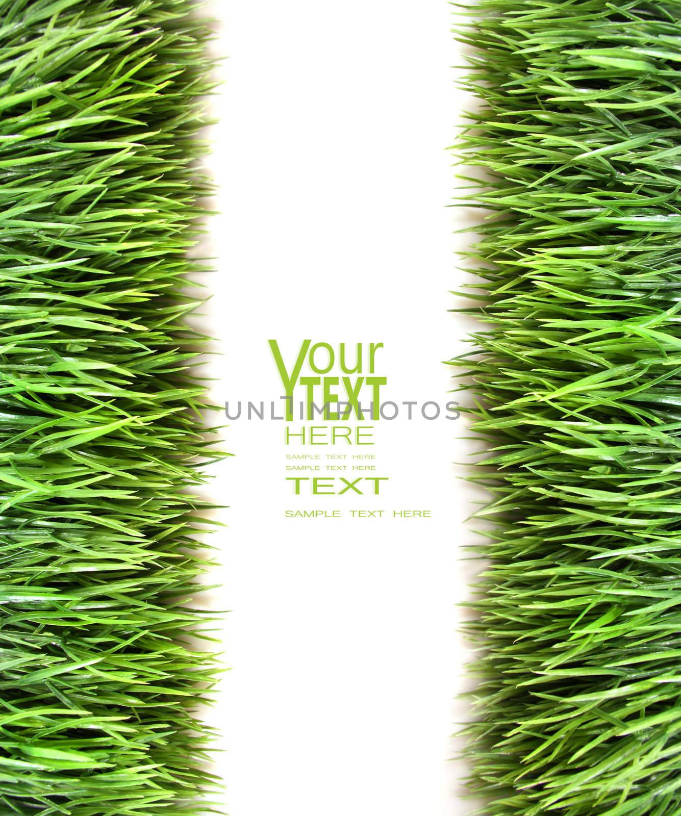 Overview of grass on white background by Sandralise