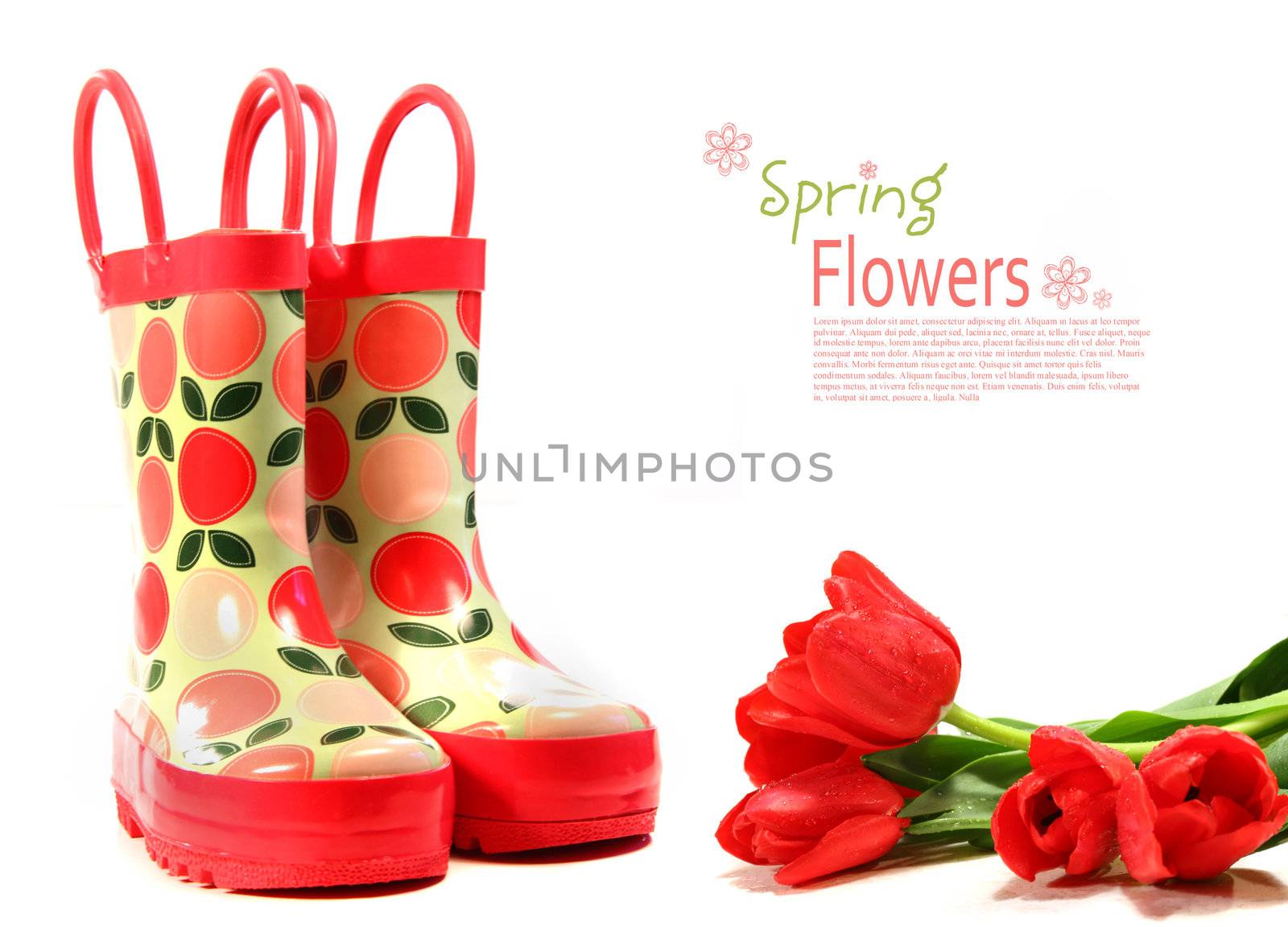 Child's rain boots with tulips on white