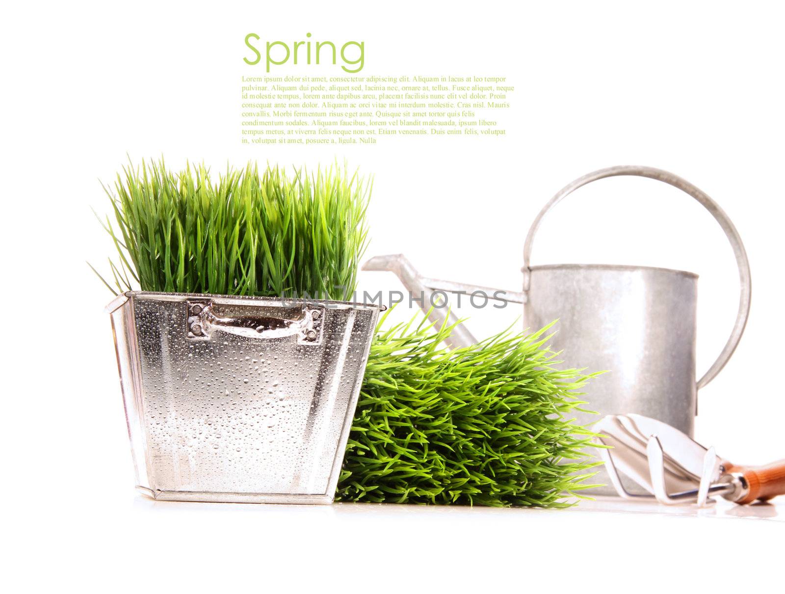 Watering can with grass anf garden tools on white