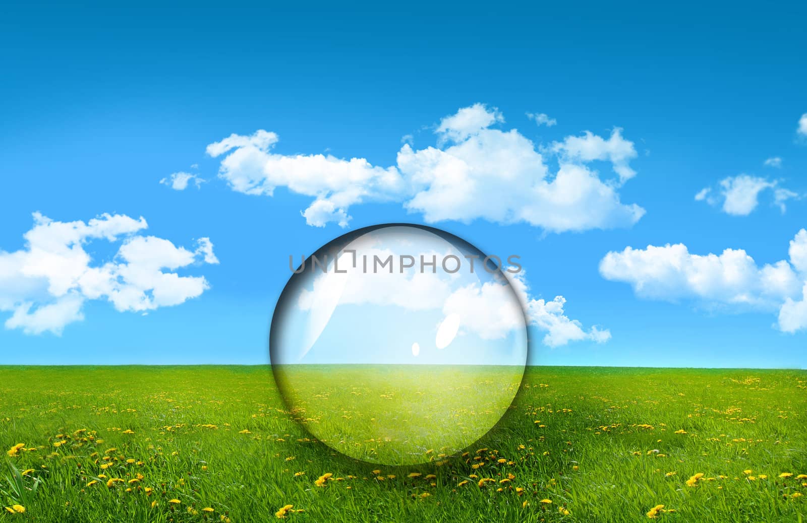 Glass sphere in a field of tall grass