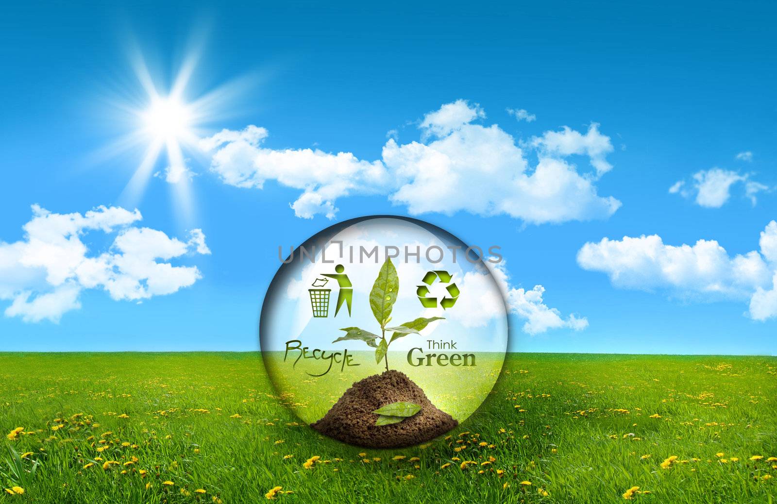 Glass sphere with plant in a field of tall grass