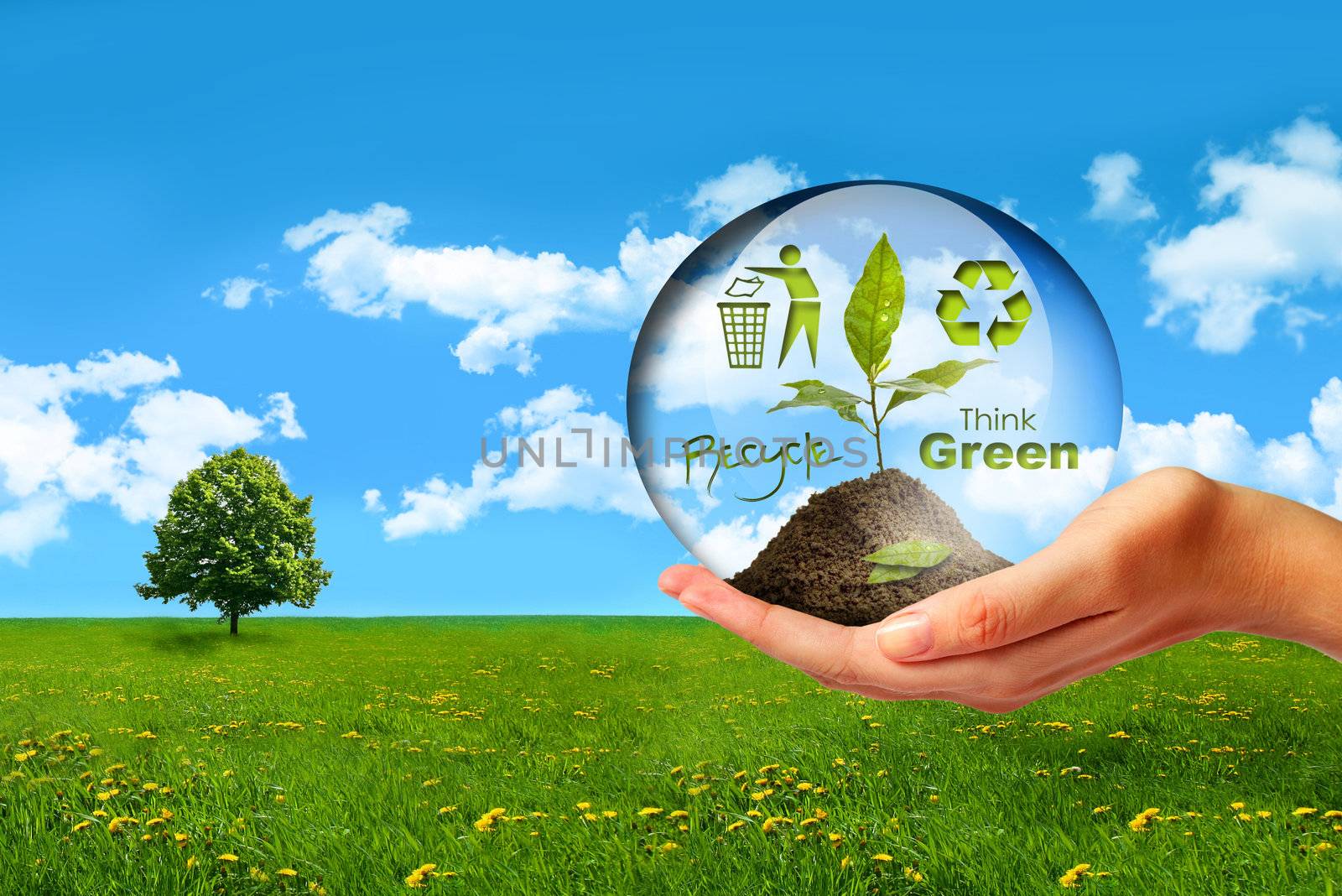Glass sphere with plant in hand against blue sky