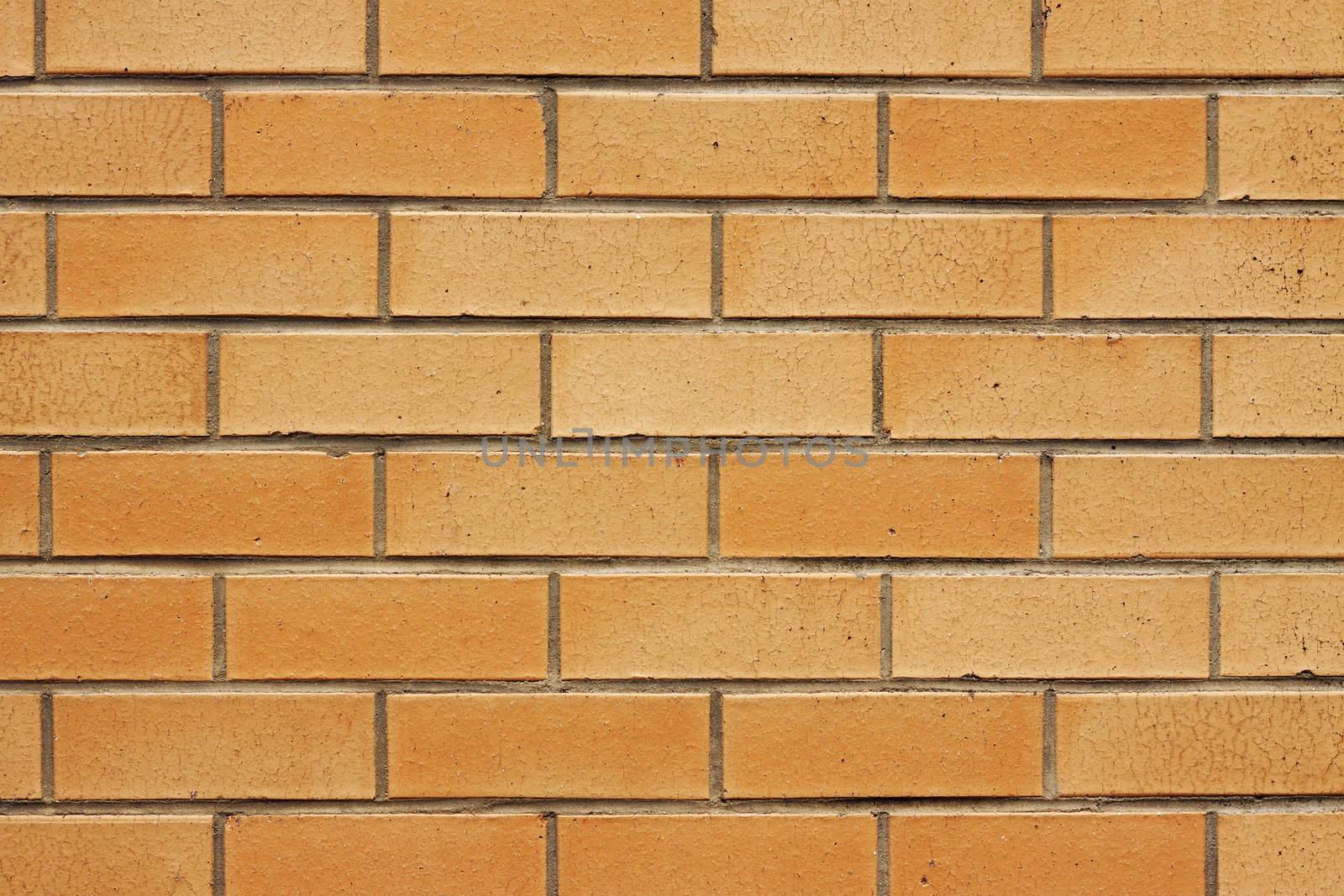 Closeup of brick wall by Jaykayl