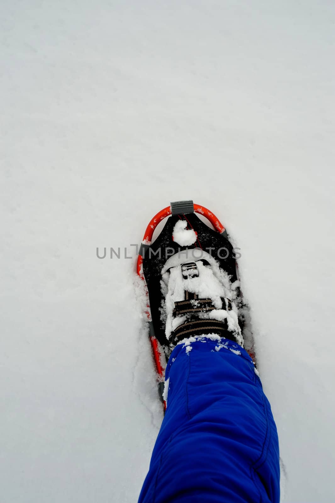 One snowshoe and leg with snow clothing on