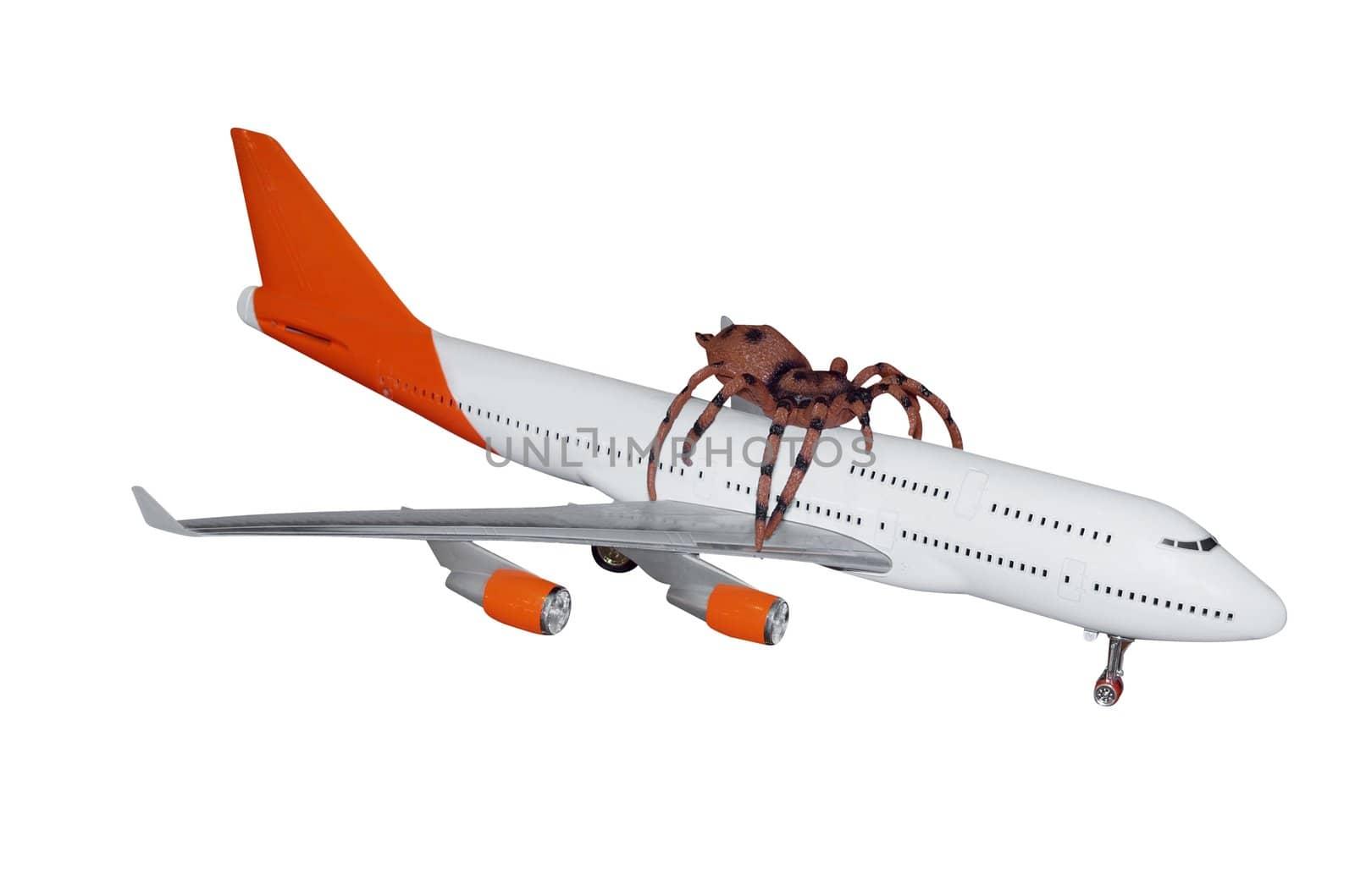 Spider Hitching a Ride on a Passenger Jet isolated with clipping path