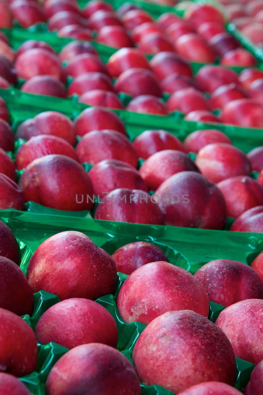 Green plastic racks of red nectarines trailing off to soft focus