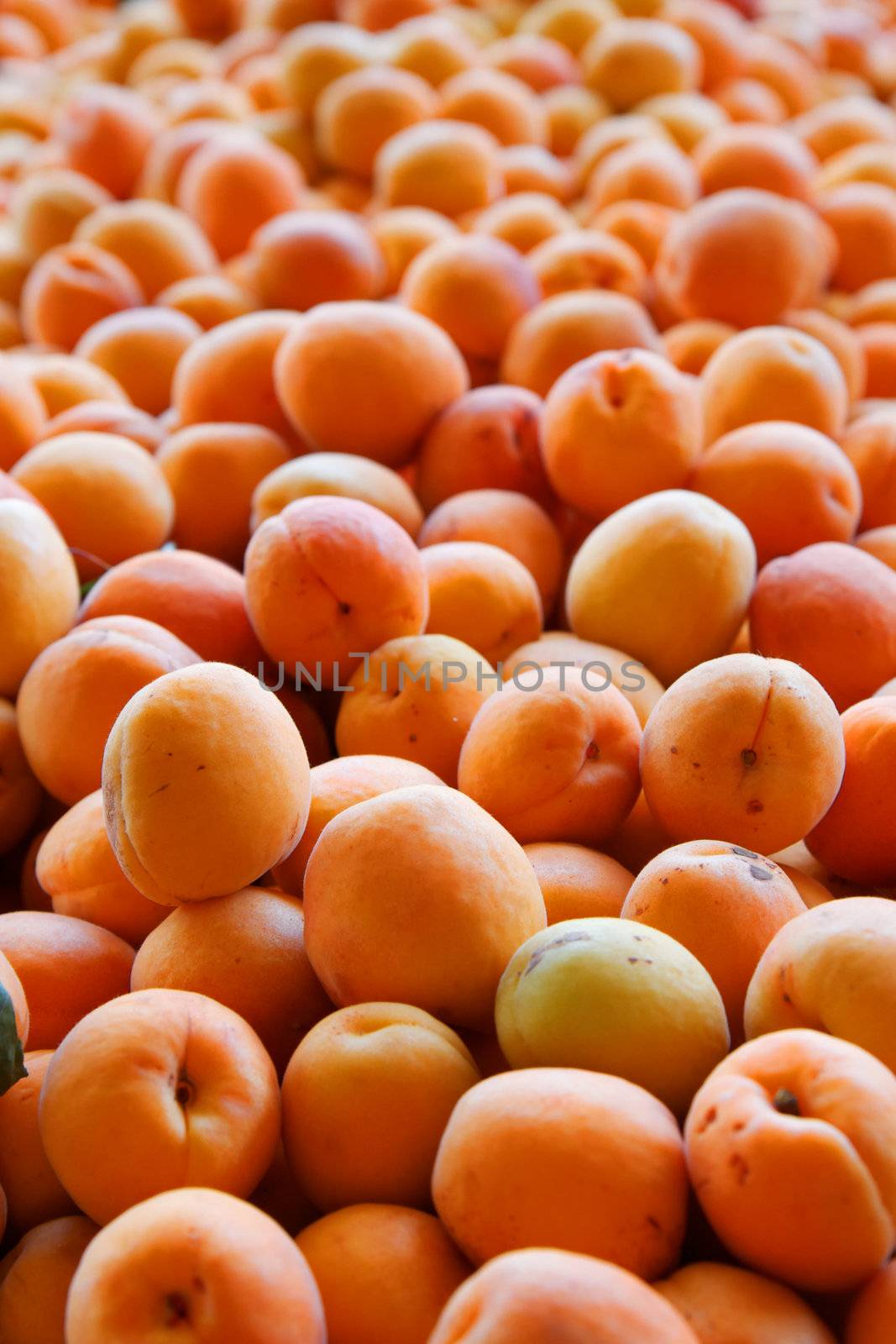Pile of golden orange apricots at a farmers market
