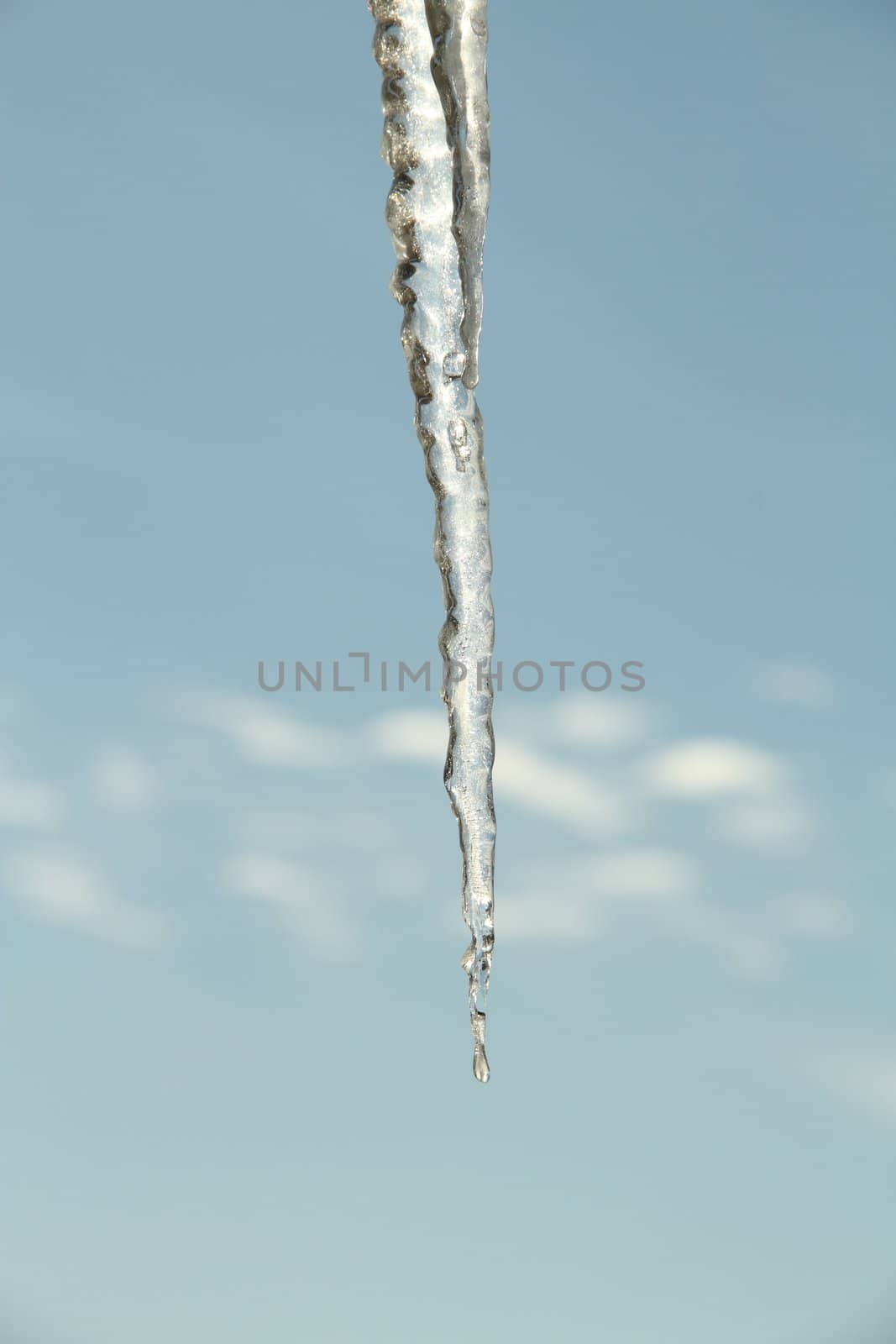 Hanging Icicles by jasony00