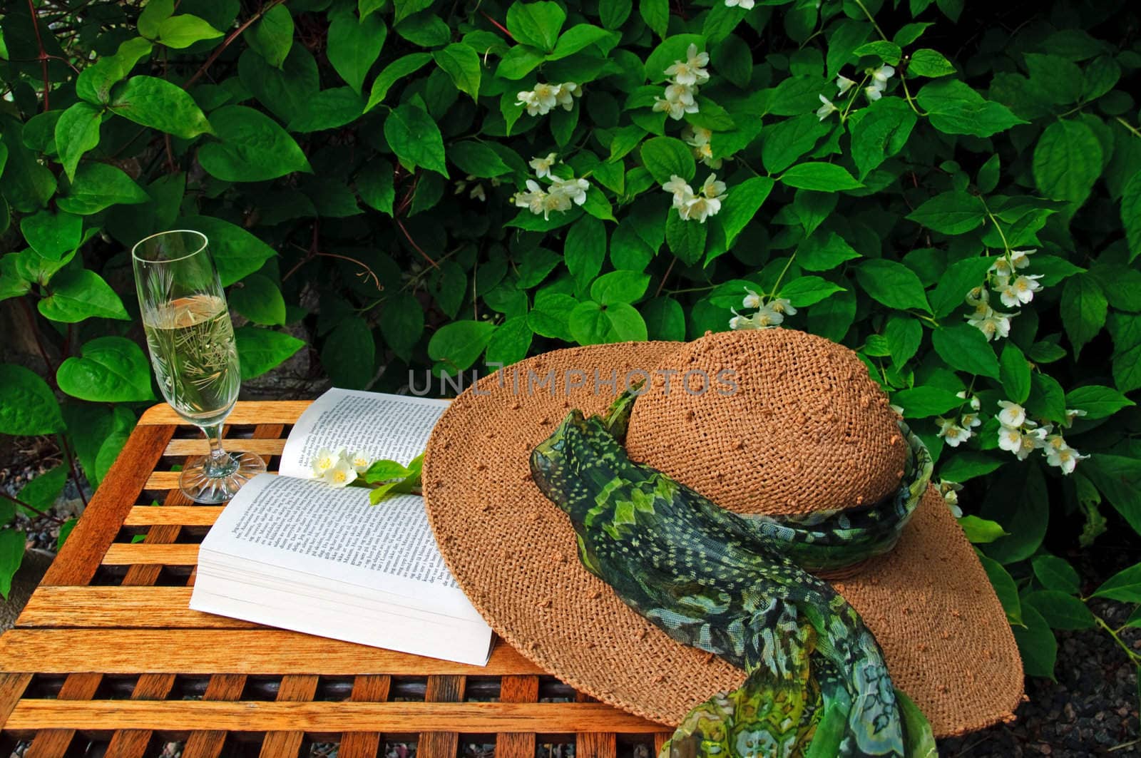 A straw hat, a book and a glass of white vine on a garden table