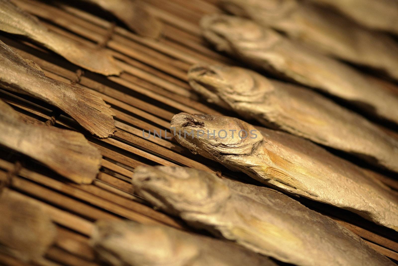 dried salt fish