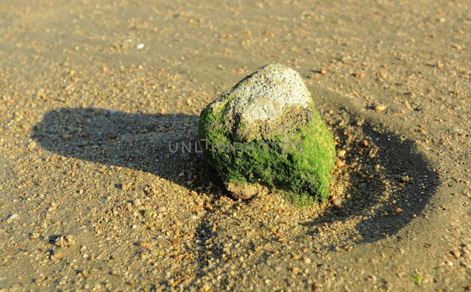rock on beach