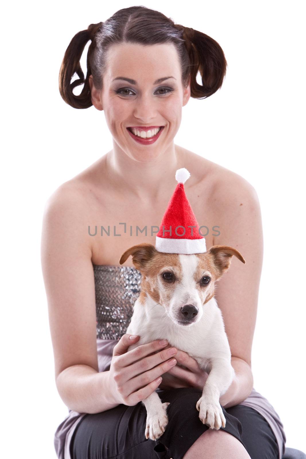 Cute adorable jack russel terrier with christmas hat (focus on dog)