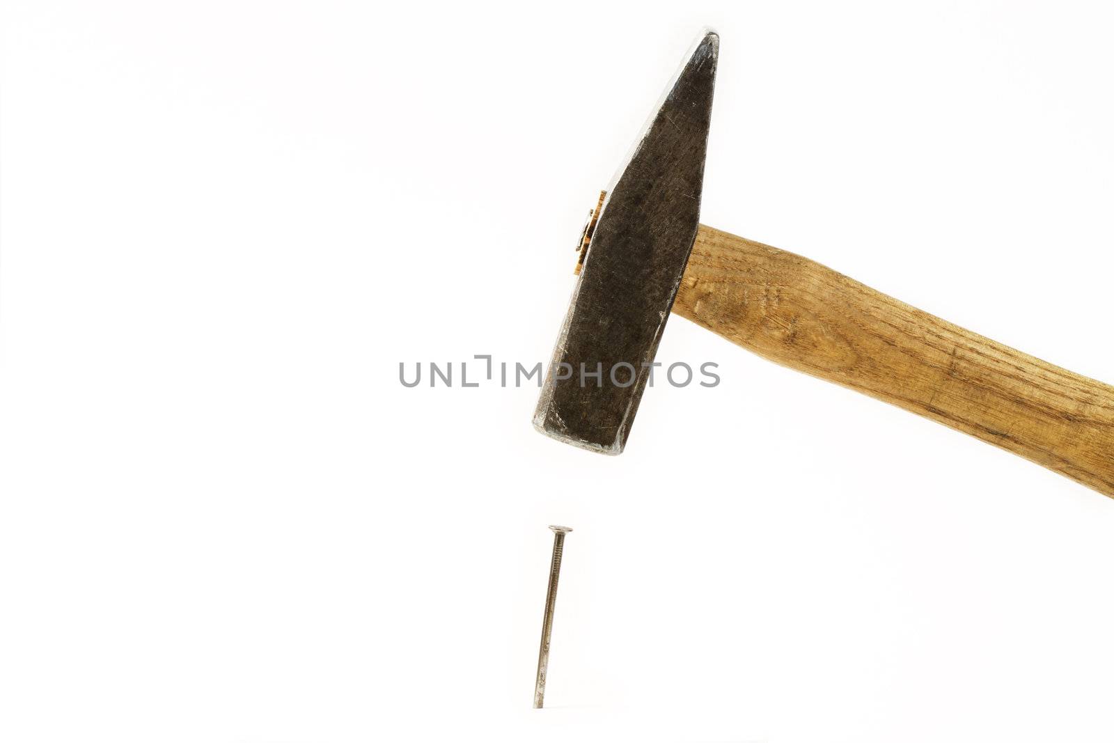 one hammer hits nail on white background