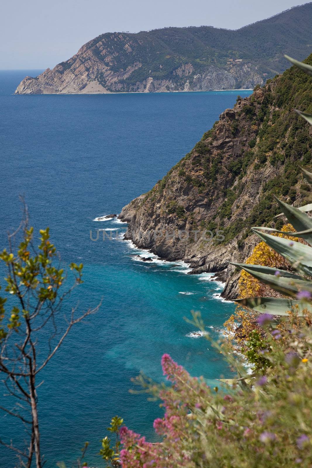 Rocky coast at the cinque terre region in Italy