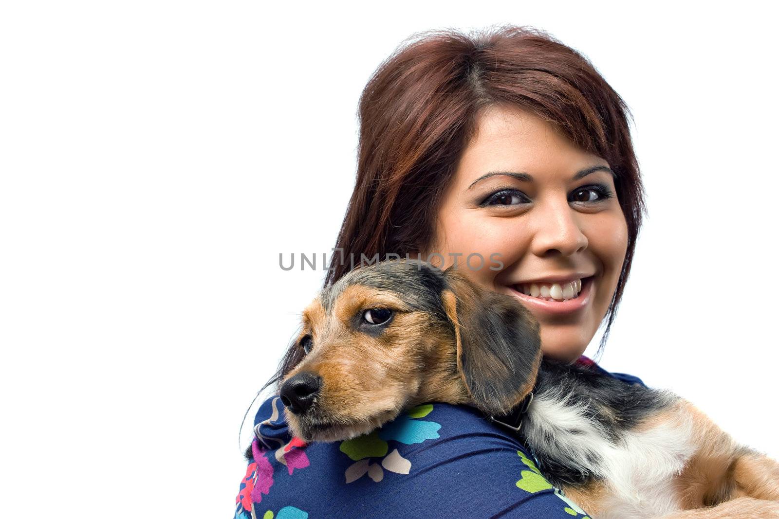 A young veterinarian holding a cute mixed breed beagle yorkie dog isolated on a white background with copy space. 