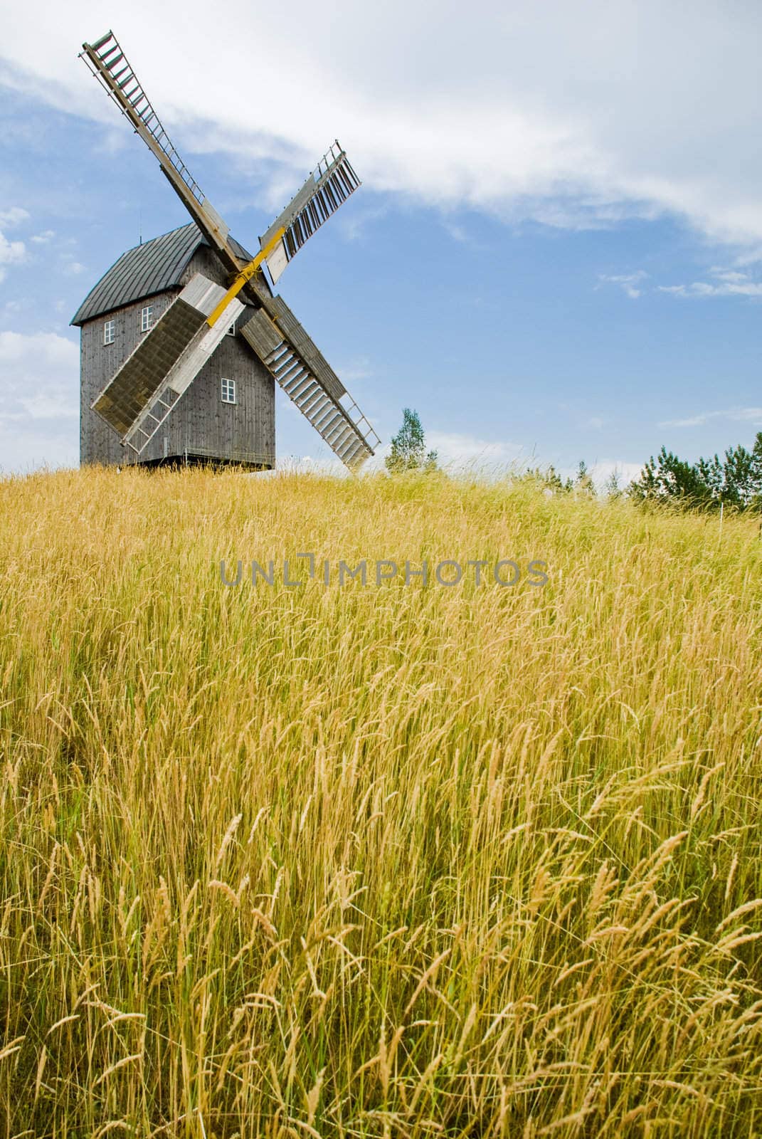 The old windmill costs in the field of mature grain