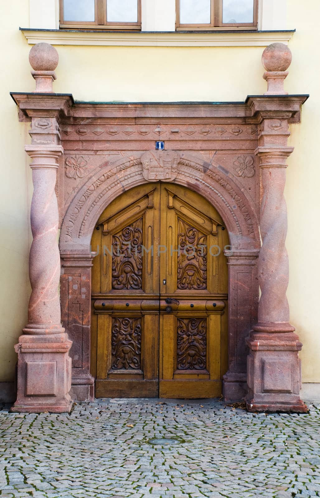 Entrance door by leonom