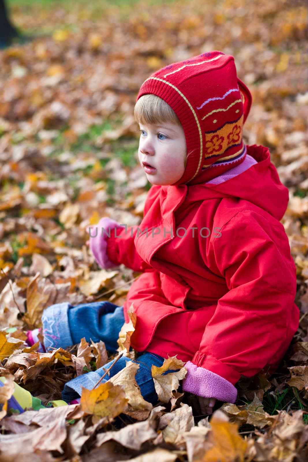 people series: little girl play with leaf