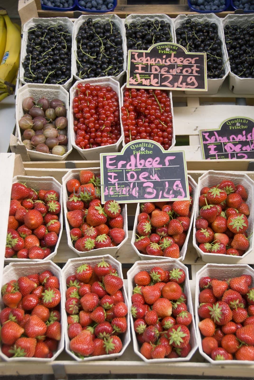 fresh berries at farmer's market, Schw�bisch Hall, Germany by rongreer