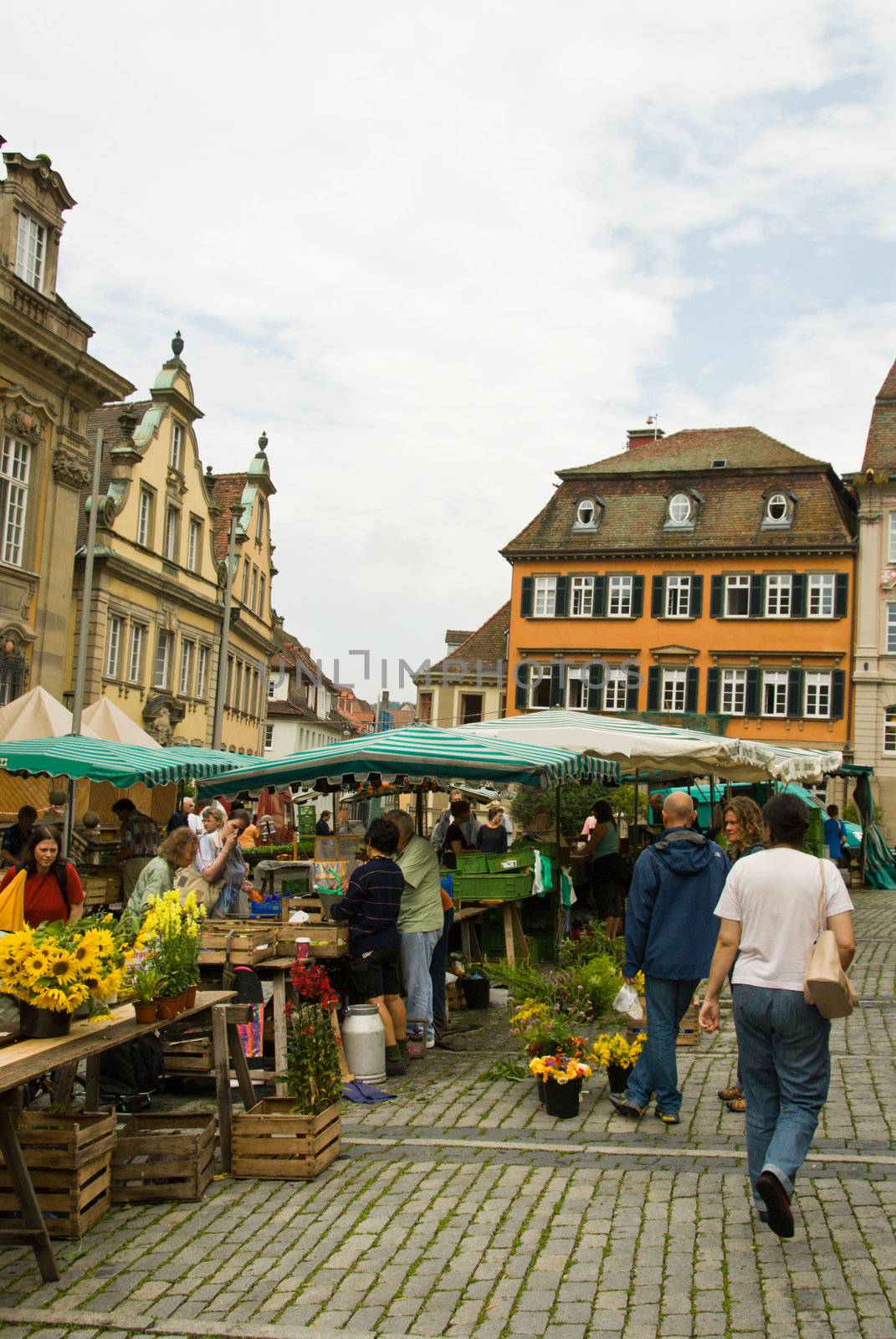 Farmer's market, Schw�bisch Hall, Germany