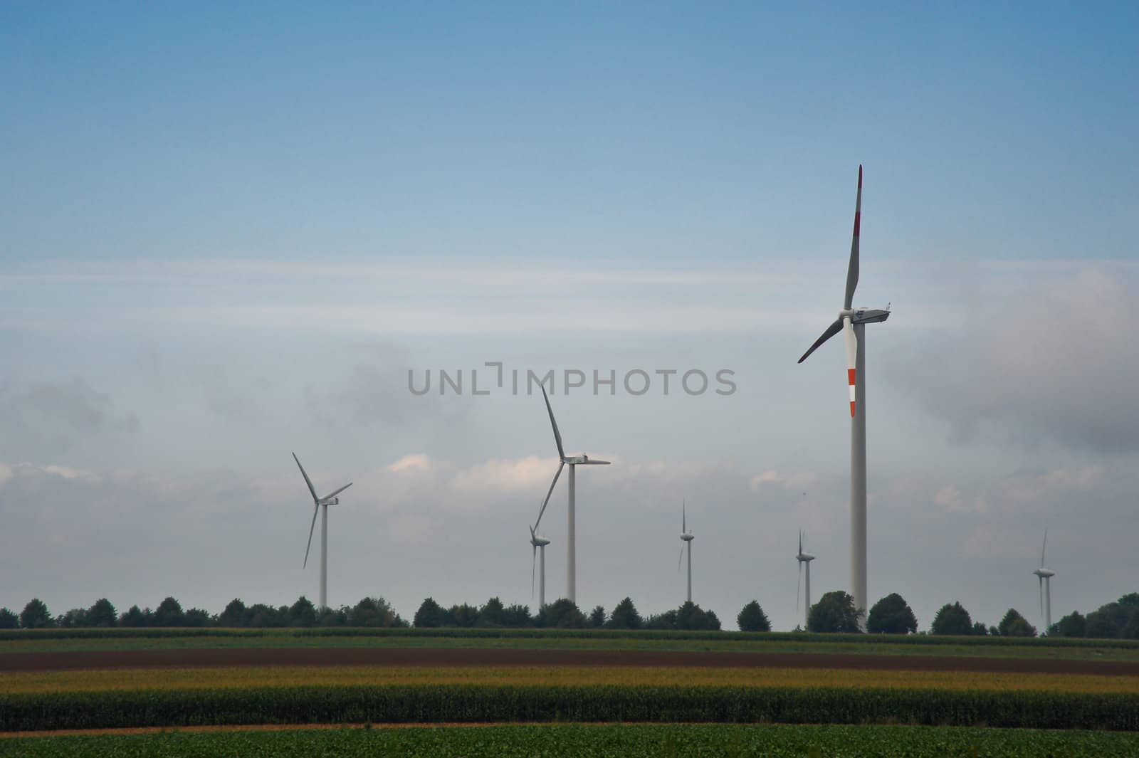 Wind turbines and field