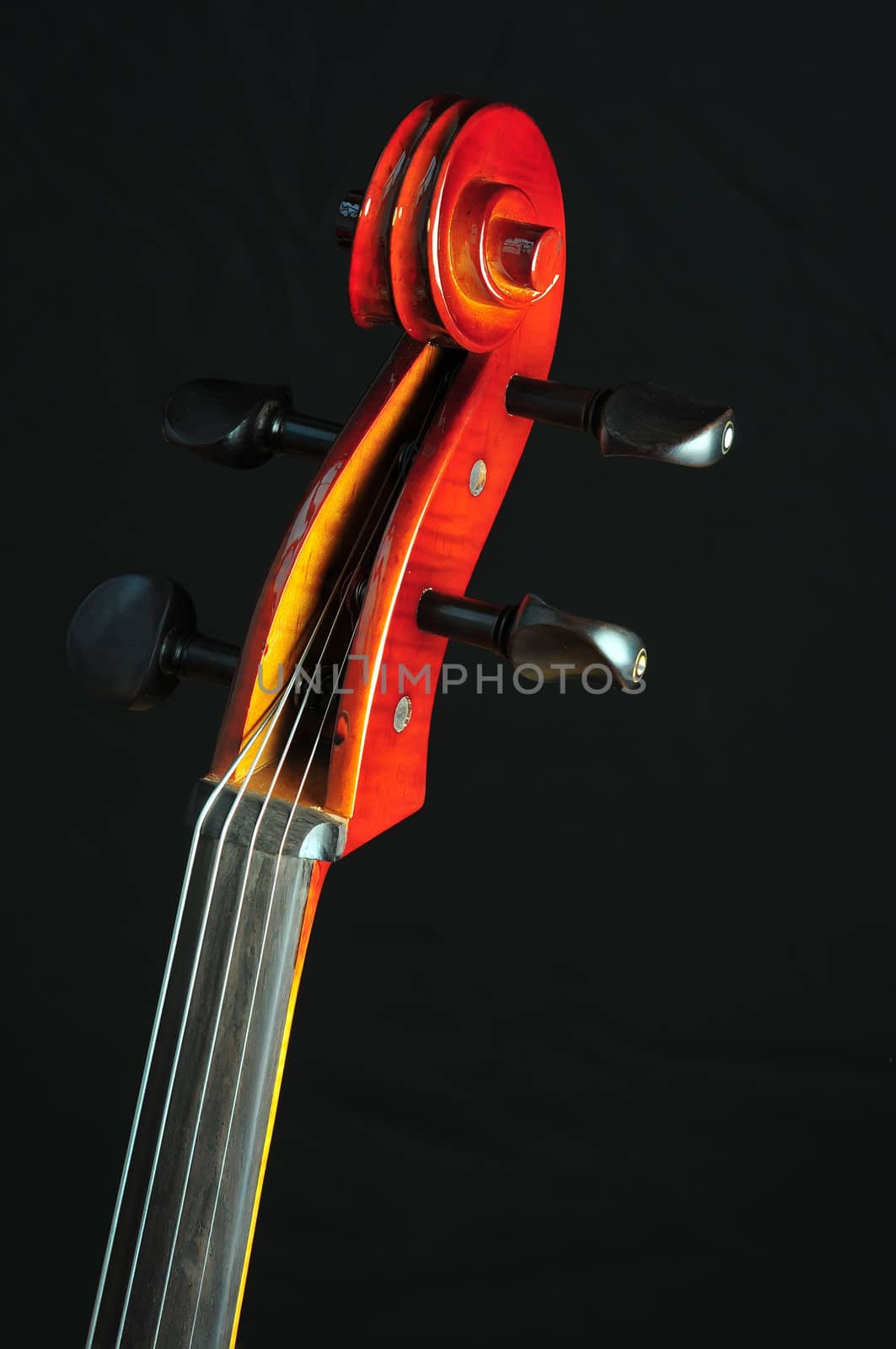 detail of cello on black background