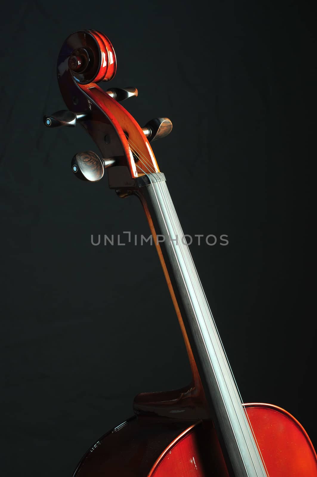 detail of cello on black background